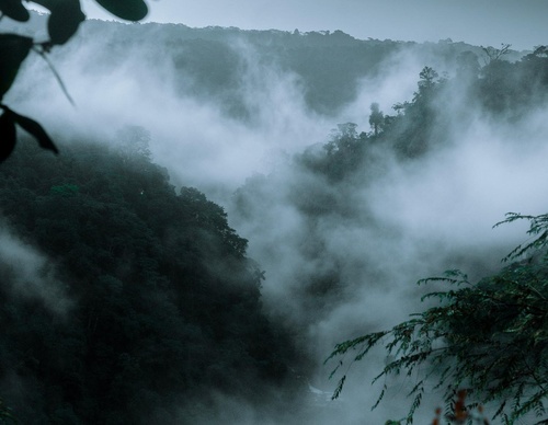 Gallery Of Photography By Chris Henry - USA