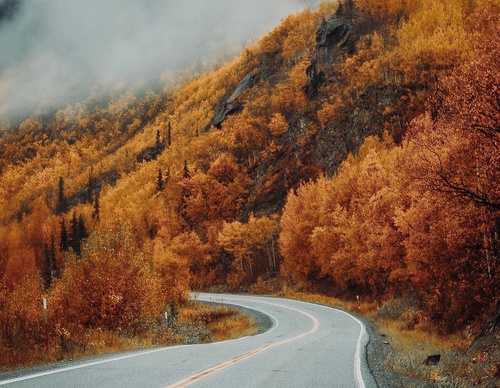 Gallery Of Photography By Chris Henry - USA