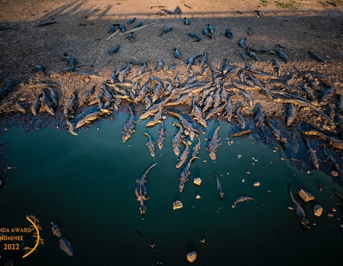 Gallery Of Photography By Fernando Faciole - Brazil
