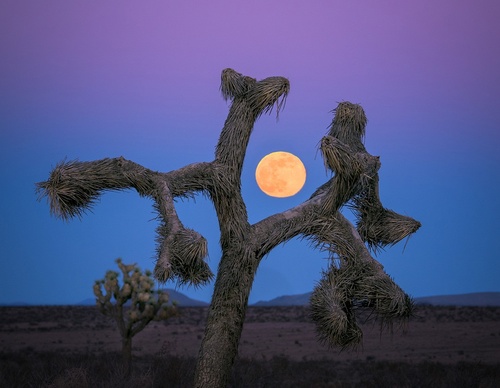 Galería de fotografía de Greg Boratyn - Argentina