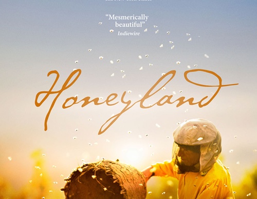 brandon schaefer film posters