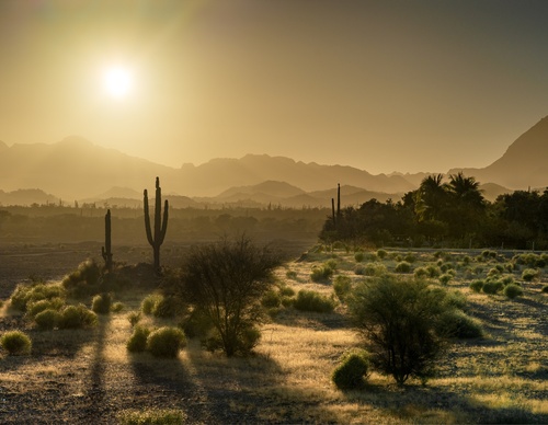 Galeria de Fotografia de Joseph Ruiz Cheires - México
