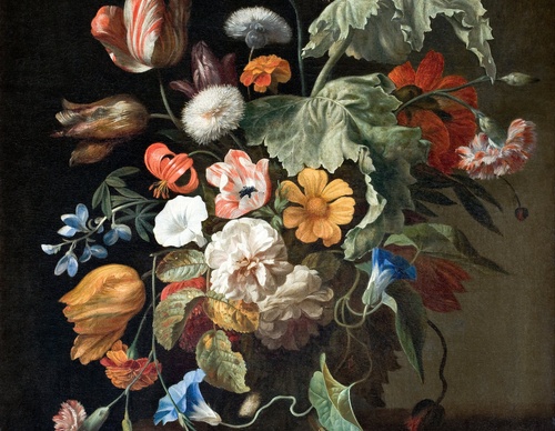 Galería de pintura de Rachel Ruysch, Países Bajos