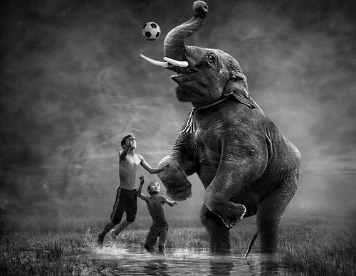 riki susanto