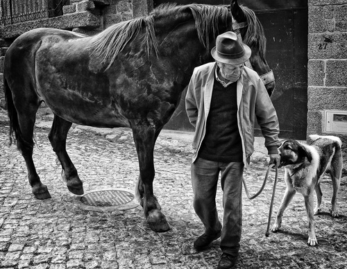 Gallery Of Photography By João Madureira - Portugal