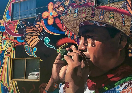 Gallery Of Street Art By Adrian Takano - Mexico