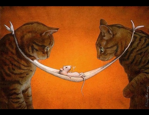 pawel kuczynski