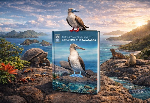 La guía definitiva para explorar las Galápagos