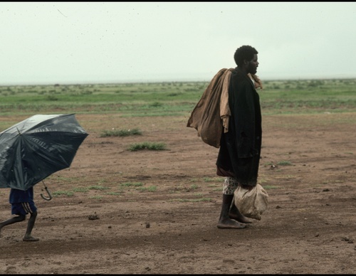 Gallery Of Photography By Peter Turnley - United States