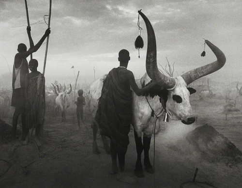 Galería de fotografía de Sebastião Salgado - Brasil