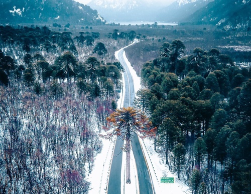 Gallery Of Photography By Sebastián Ojeda S - Chile