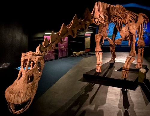 Nueva temporada de la red de museos CaixaForum