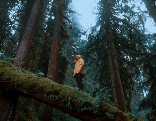 Gallery Of Photography By Chris Henry - USA