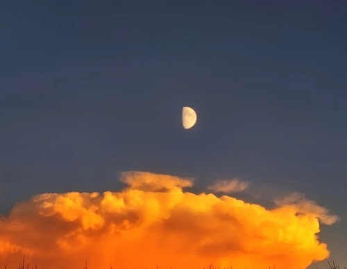 Gallery of Photography by Angela Petruzzelli - Italy