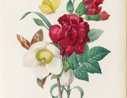 Galeria da Exposição Brafa Art Fair-Bélgica