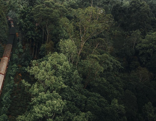 Gallery Of Photography By Luke Stackpoole - United Kingdom