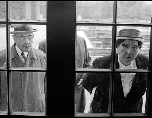 leonard freed