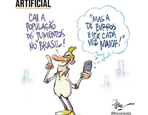 rico brazil