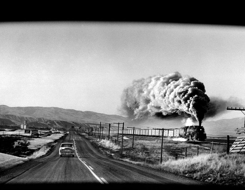 elliott erwitt