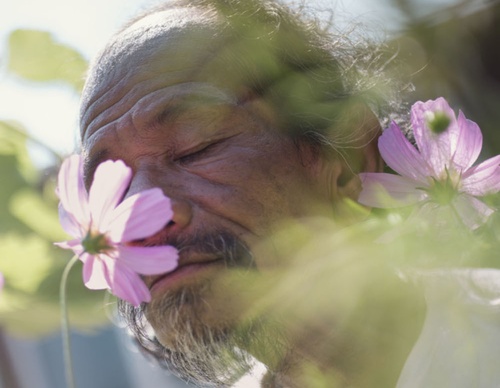 gregory halpern