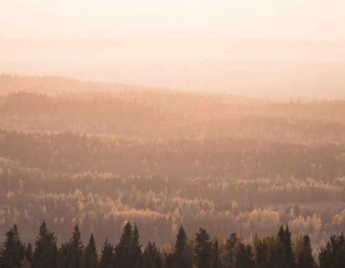 Gallery Of Photography By Elias Kalliola - USA