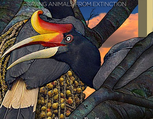 poster awards