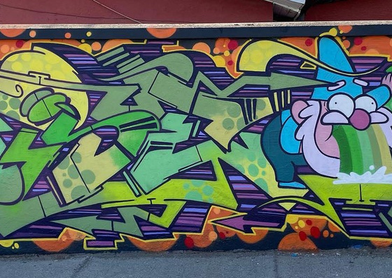 Gallery Of Street Art By Denys Evol - Brazil