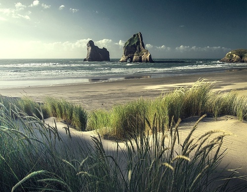 Gallery Of Photography By Max Rive - Netherlands