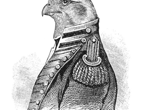 Galería de ilustraciones de daniel crespo - España