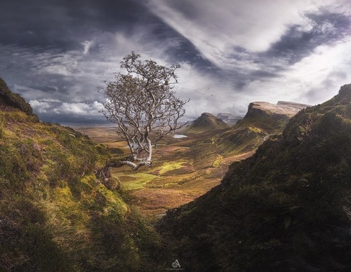 Gallery Of Photography By Alessandro Cantarelli - Chile