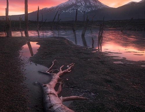Gallery Of Photography By Jaime Garcés - Chile