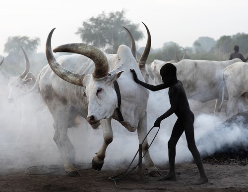 Gallery Of Photography By Eric Lafforgue - France