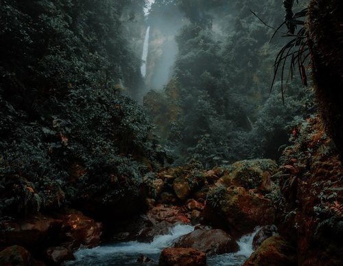 Gallery Of Photography By Chris Henry - USA