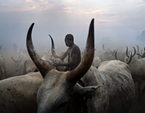 Galería de fotografía de Alessandro Bergamini - Italia