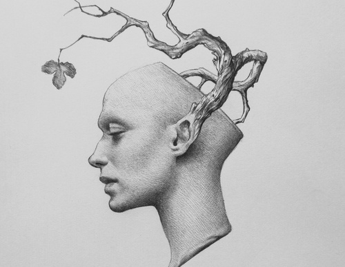 raoof haghighi