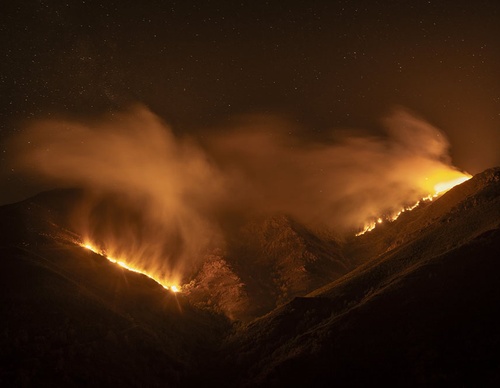 world press photo