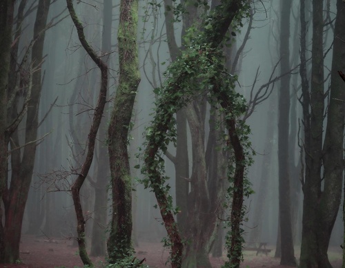 Galería de fotografía de Jorge Reinaldo - Portugal