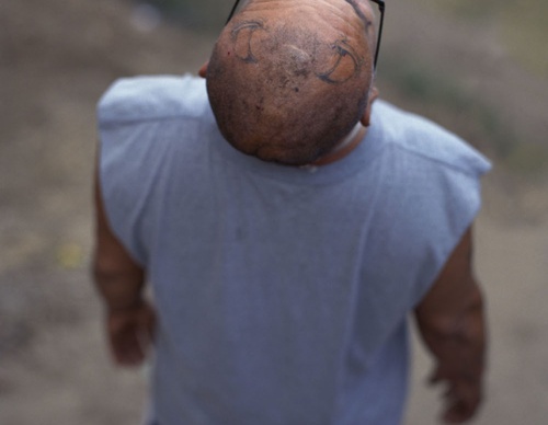 gregory halpern