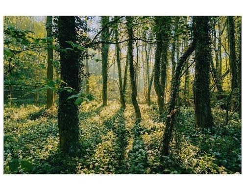 Gallery Of Photography By Daniel Casson - England