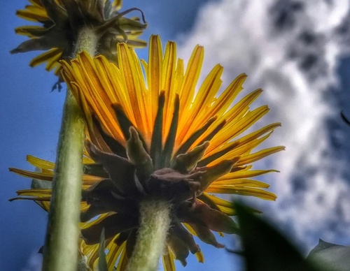 Gallery of Photography by Angela Petruzzelli - Italy