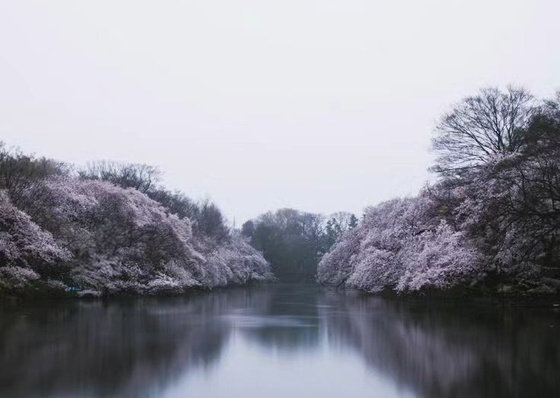 Gallery Of Photography By Takashi Yasui - Japan