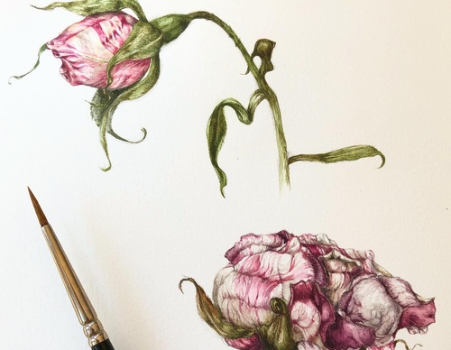 Gallery of Drawing by GiacoMina Ferrillo-Italy