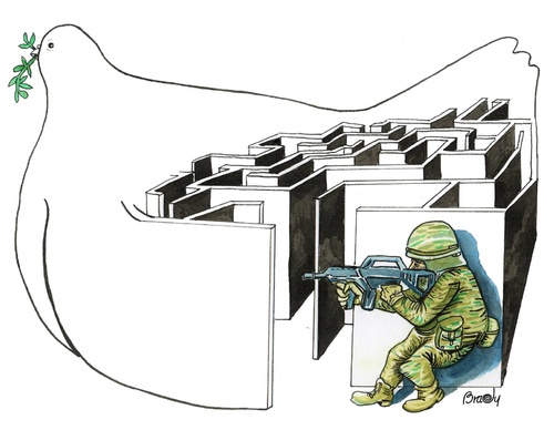 brady izquierdo cuba