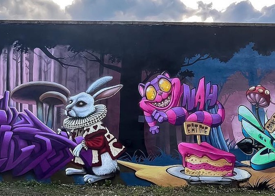 Gallery Of Street Art By Woak - Brazil