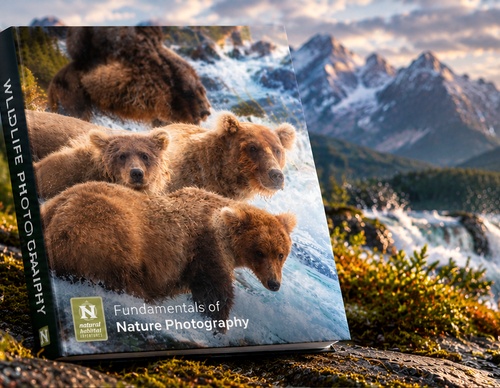 FUNDAMENTALS OF NATURE PHOTOGRAPHY