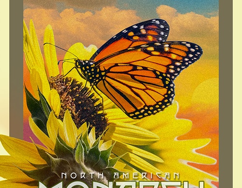 poster awards