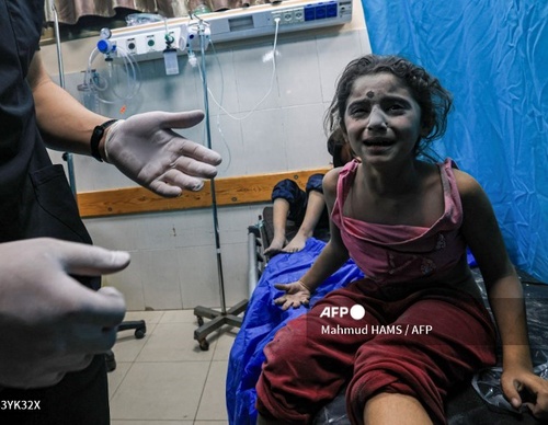 Galería de fotografías de Mahmud Hams - Palestina