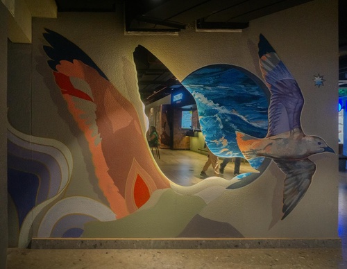 Galería de arte callejero de Paulo Villegas - México