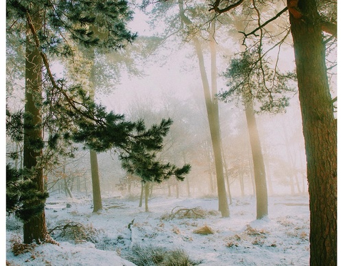 Gallery Of Photography By Daniel Casson - United Kingdom