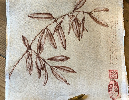 Gallery of Drawing by GiacoMina Ferrillo-Italy